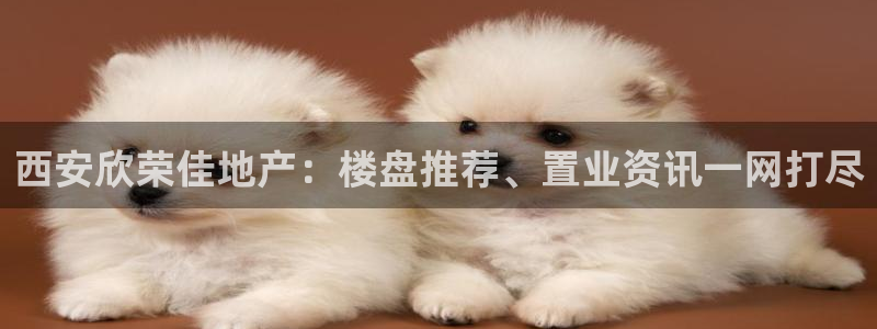 滨州永利顺运输有限公司