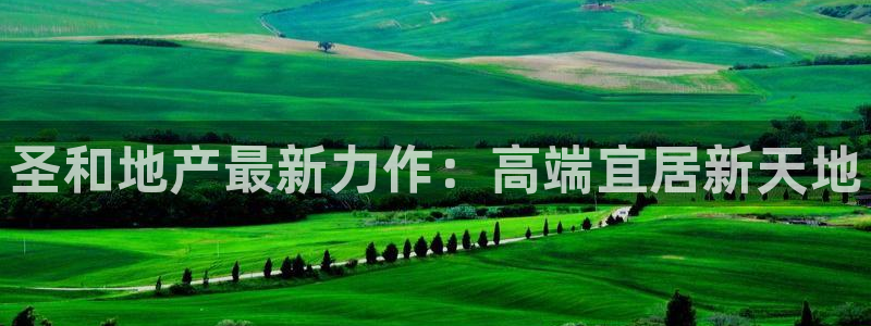 永利汇有什么服务