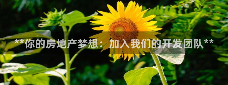 佛山永利批发市场在哪里
