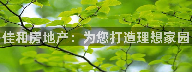 9900777z永利网