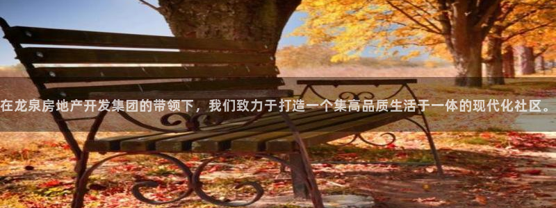 永利皮带型号