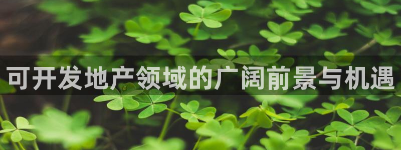 永利皮革有限公司怎么样